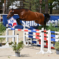 Photo de Nyrcella de Fondcombe 4